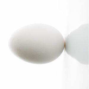 Meet your Posher, Craven